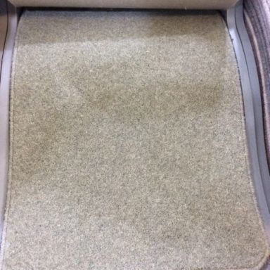 Sage Green Carpet